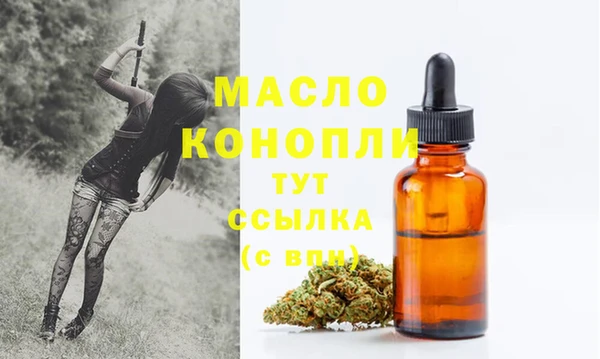 индика Дмитровск