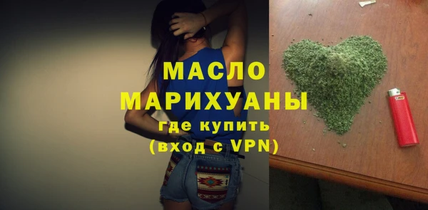 индика Дмитровск