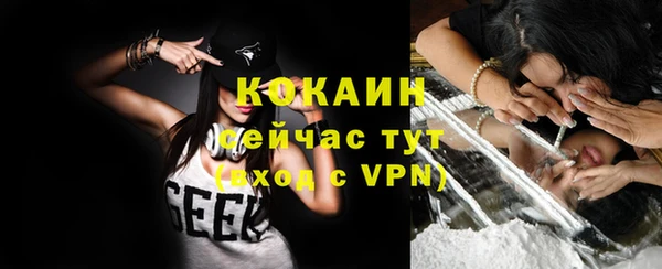 индика Дмитровск