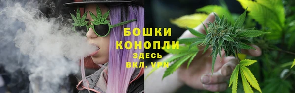 индика Дмитровск