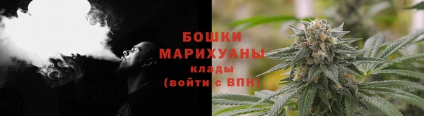 индика Дмитровск