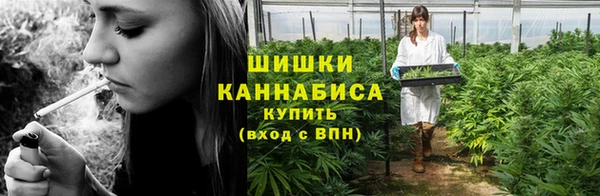 индика Дмитровск