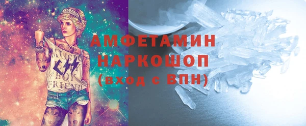 индика Дмитровск