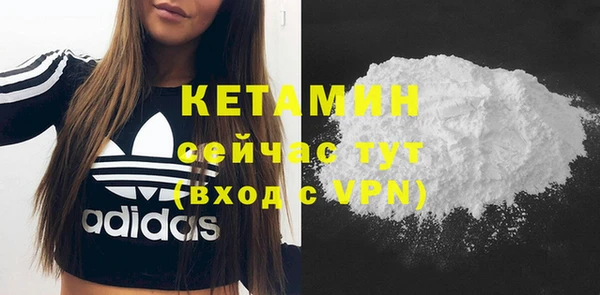 индика Дмитровск