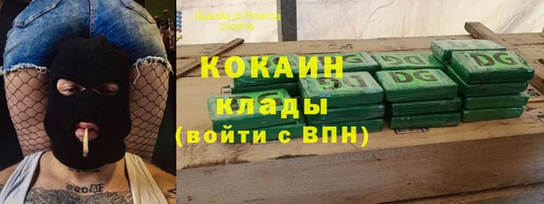 амф Дмитриев