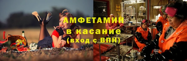 индика Дмитровск